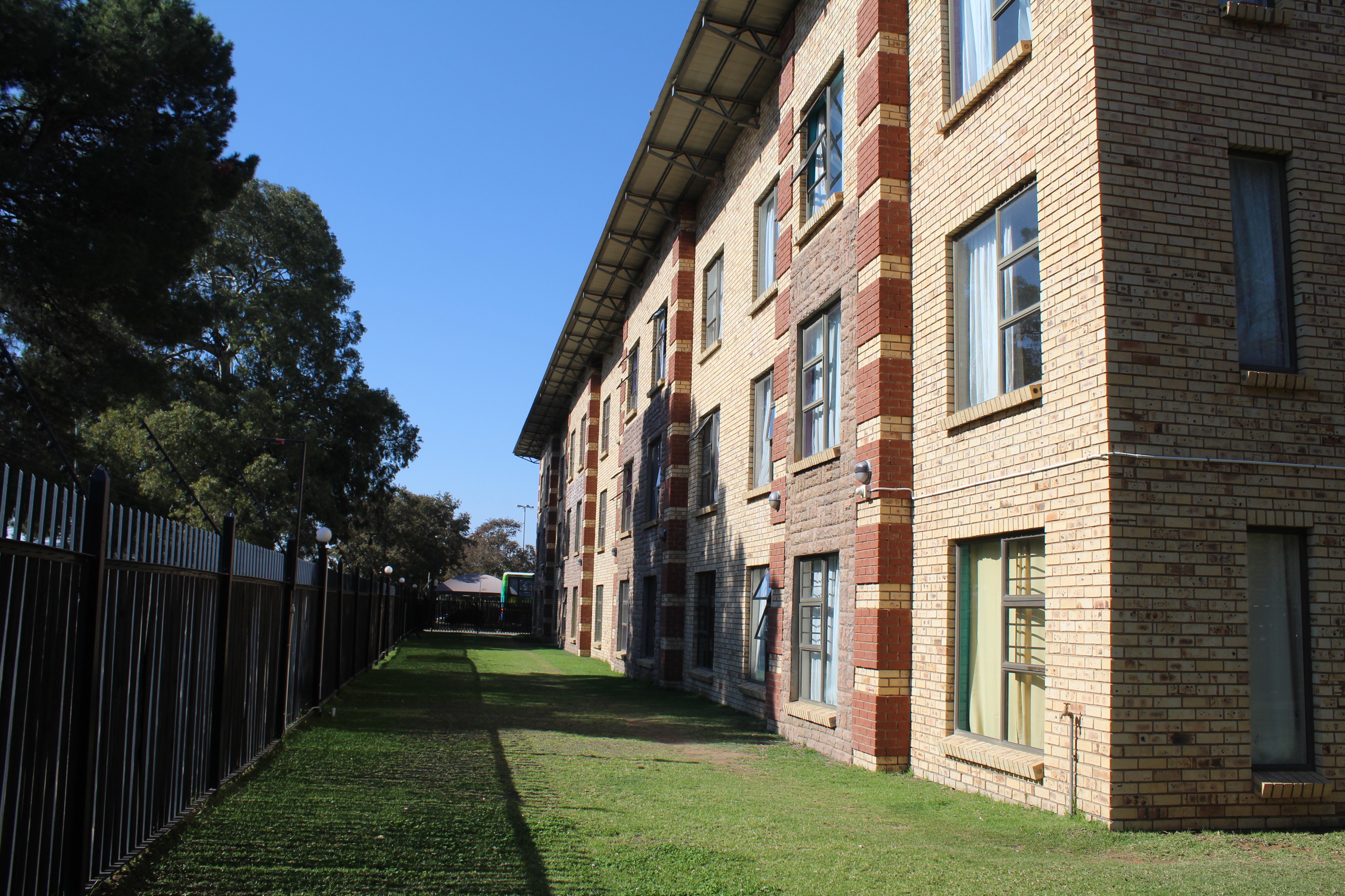 Arabella image 9
